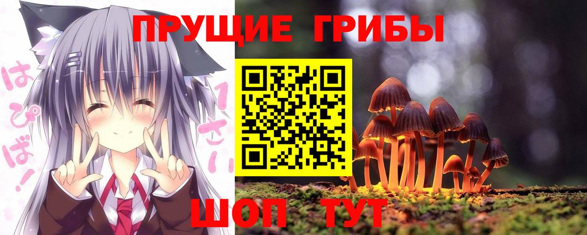 Псилоцибиновые грибы GOLDEN TEACHER Волоколамск